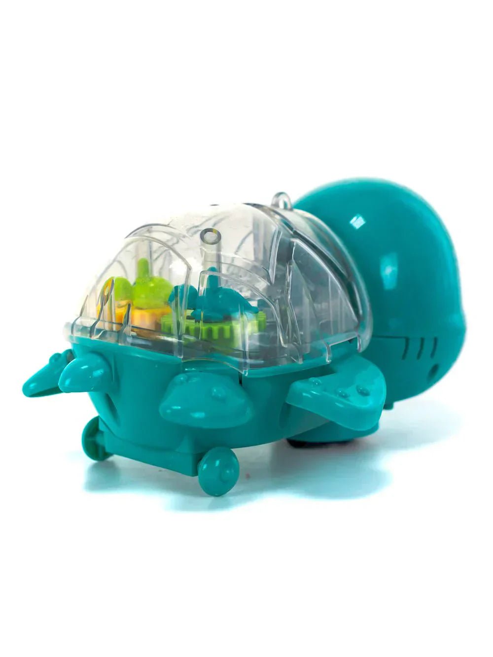 Cute Turtle Toy - DubaiTrends